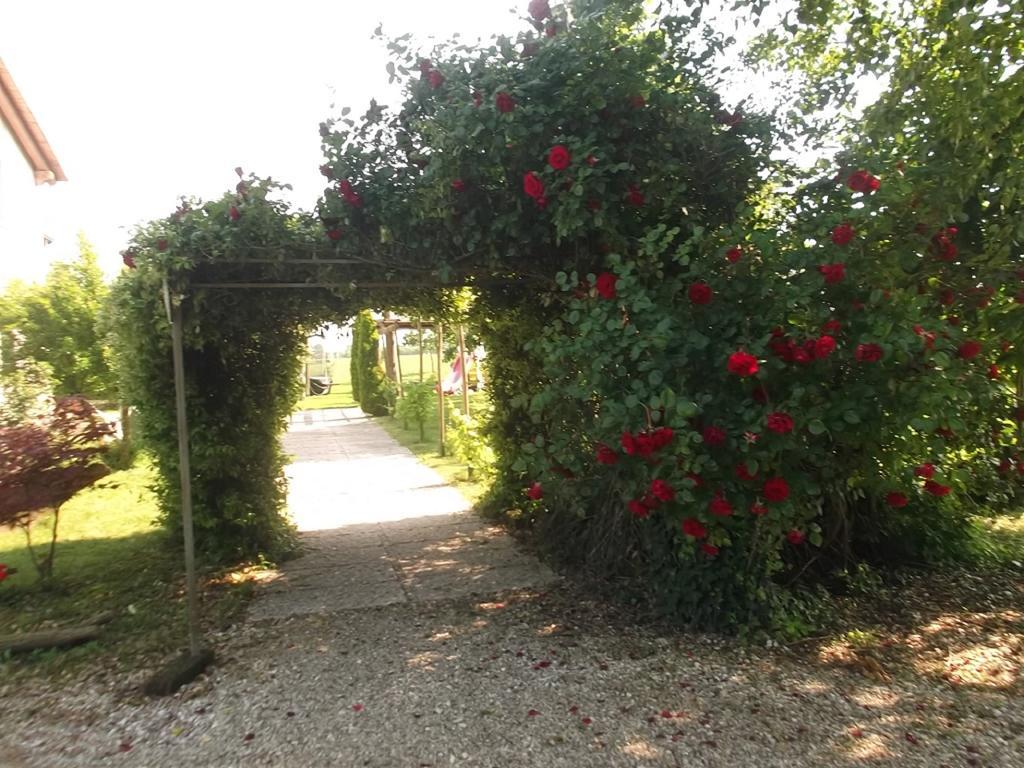 Agriturismo La Prateria Gazzo  Екстер'єр фото